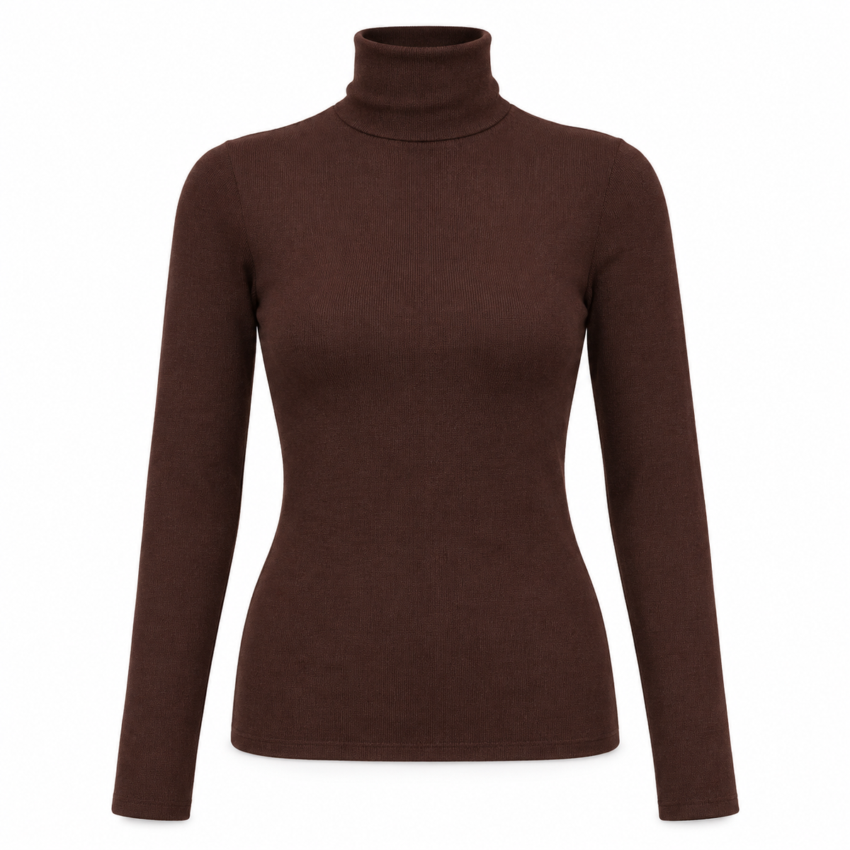 Slim Turtleneck Knit Top