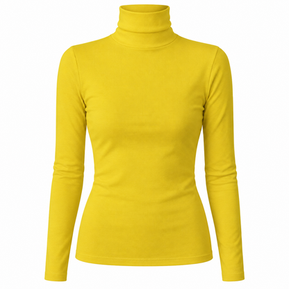 Slim Turtleneck Knit Top